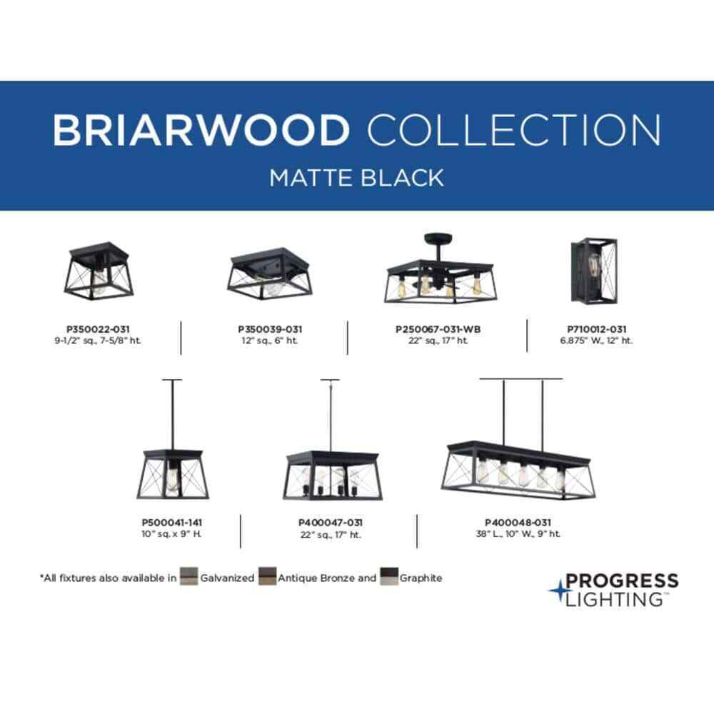 Progress Lighting Briarwood 1-Light Cerused Black Ceiling Light Flush Mount