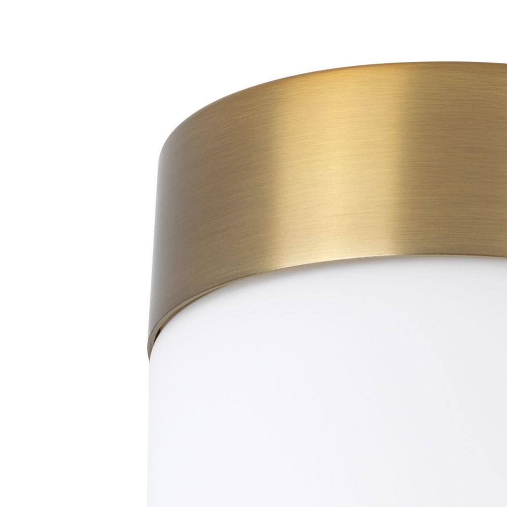 Progress Lighting Elevate 1-Light Brushed Bronze Etched White Glass Vanity Light