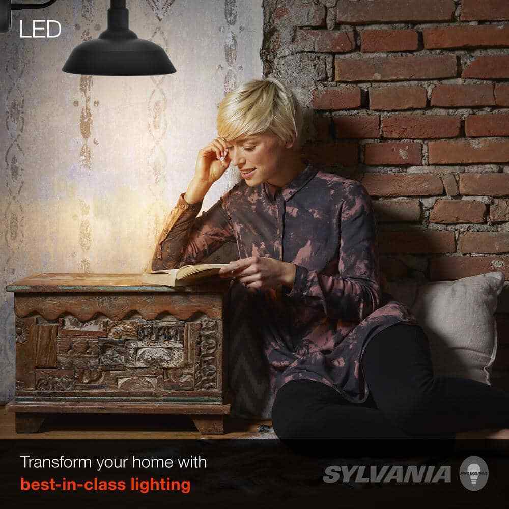 Sylvania Easton 11.5 in. Single Bulb Antique Black Outdoor Barn Light Sconce