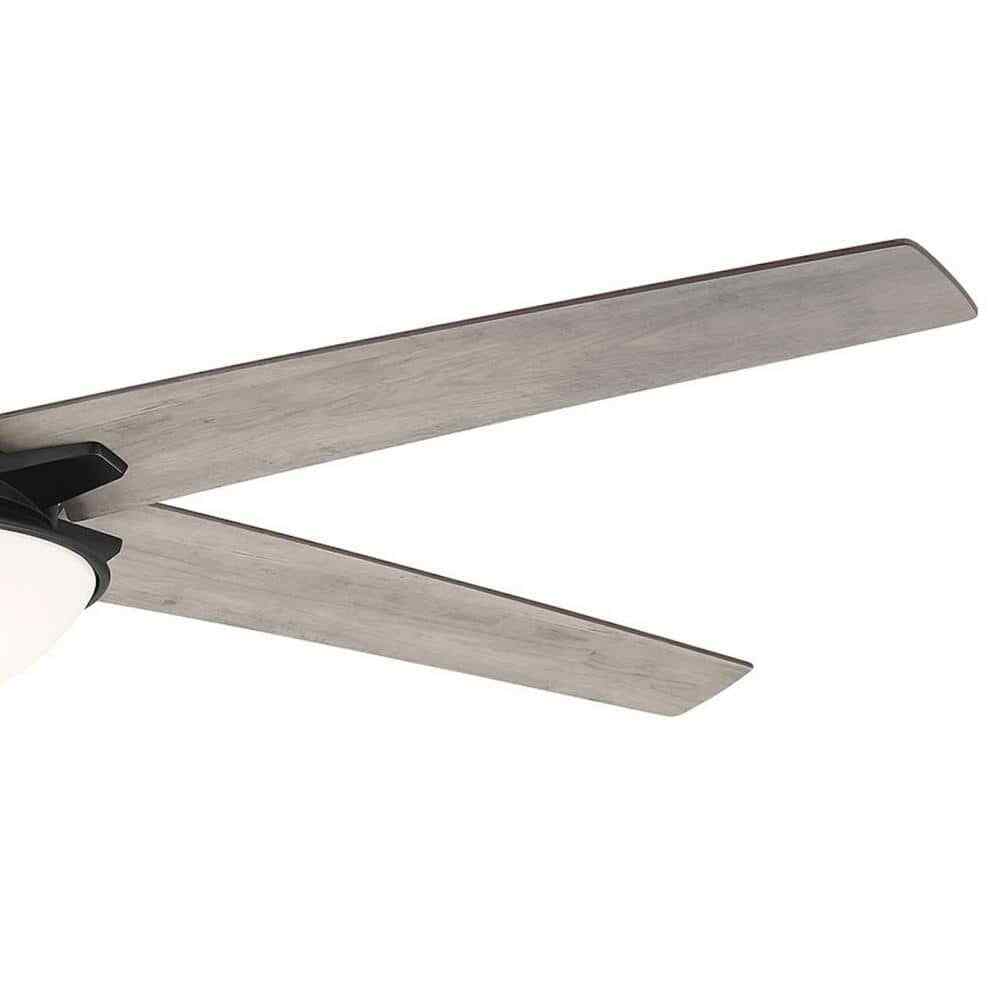 Hampton Bay Belvoy 70 in. Matte Black DC Motor Ceiling Fan with Light and Remote