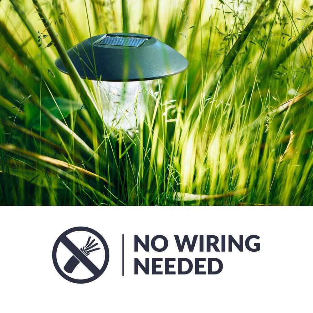 Solar Black Outdoor LED Filament-Style Landscape Path Light 2-Pack