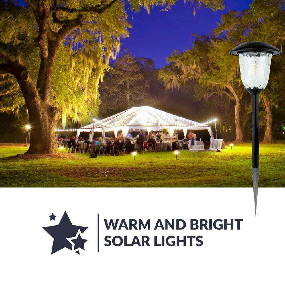Solar Black Outdoor LED Filament-Style Landscape Path Light 2-Pack