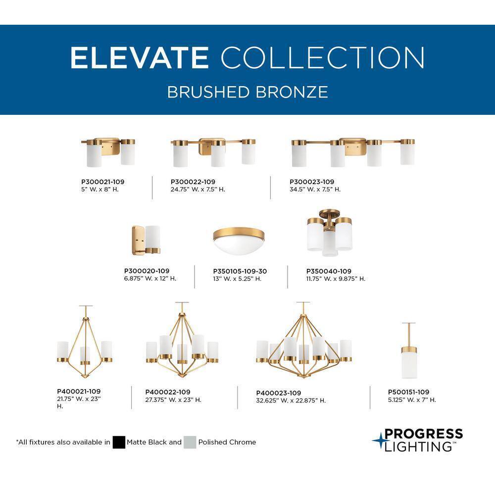 Progress Lighting Elevate 1-Light Brushed Bronze Etched White Glass Vanity Light