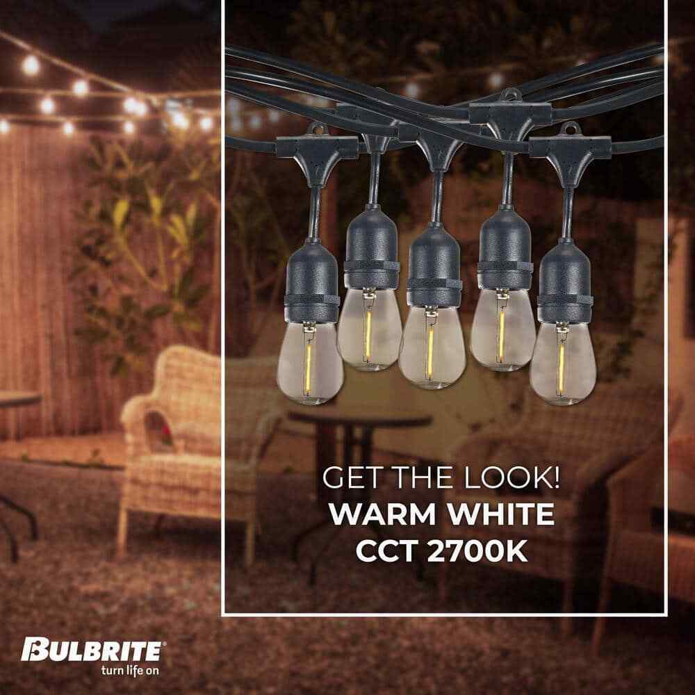 Bulbrite Outdoor 30 ft. Edison String Light Shatter Resistant Bulbs 12-Sockets