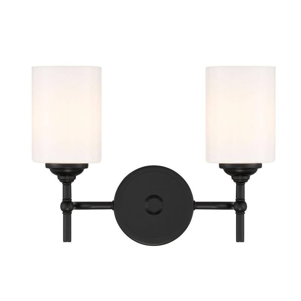 Home Decorators Collection Ayelen 13.5 in. 2-Light Matte Black Vanity Light