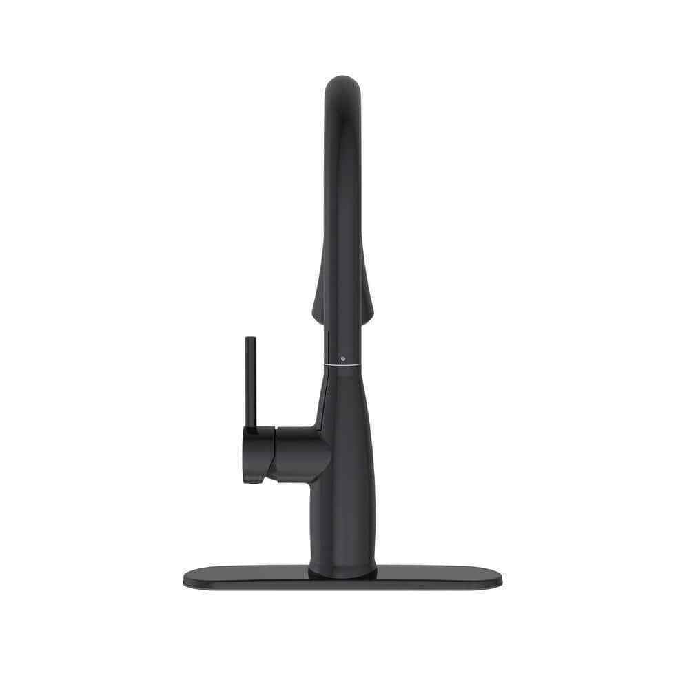 Cartway Single-Handle Pull-Down Sprayer Kitchen Faucet in Matte Black D001O