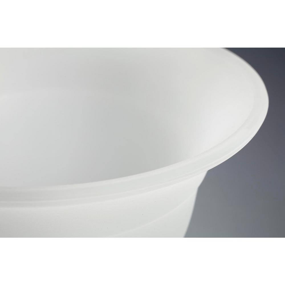 Progress Lighting Trinity Collection 4-Light Polished Chrome Glass Vanity Light