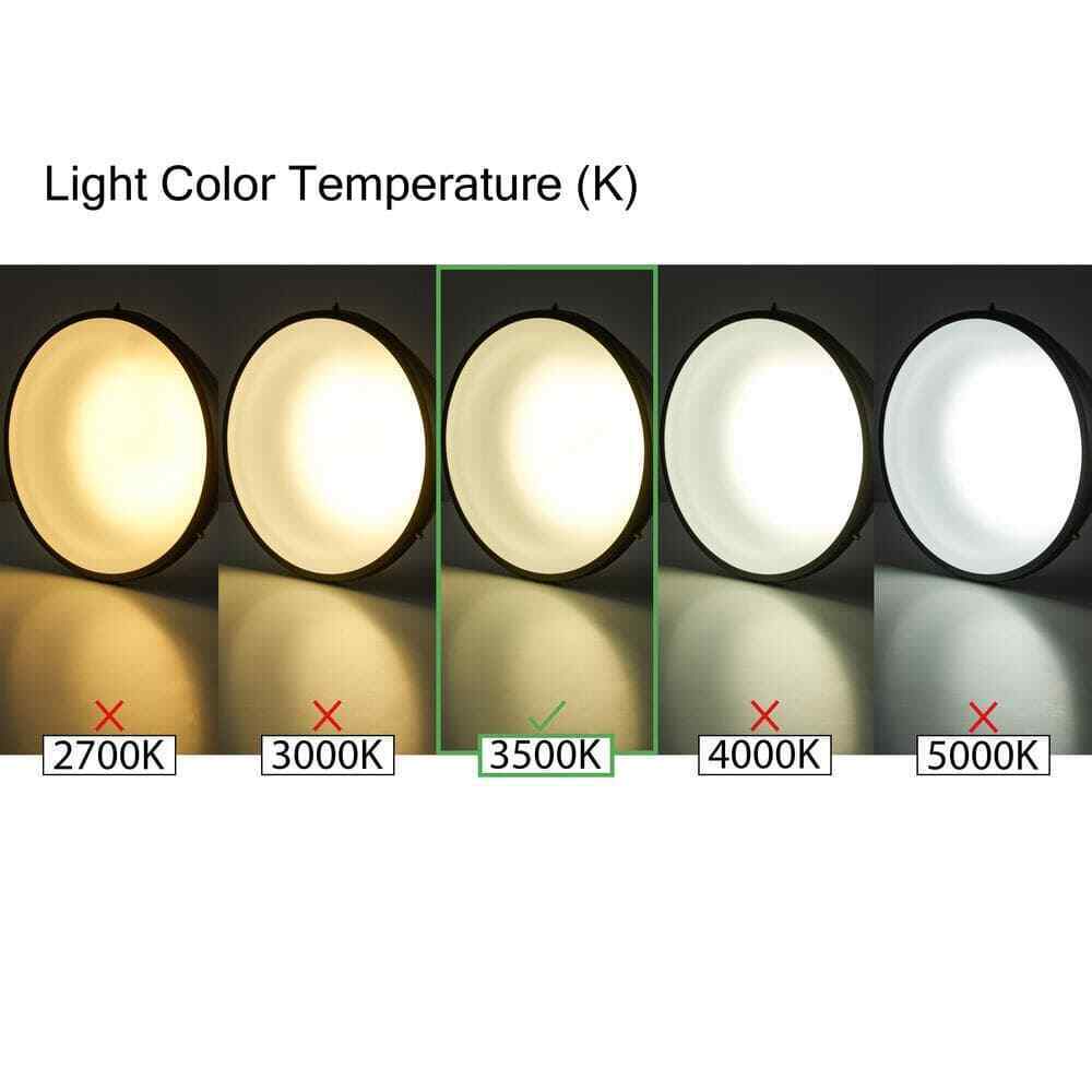 Bel Air Lighting Compact 8 in. Black Integrated LED Outdoor Wall Light Fixture