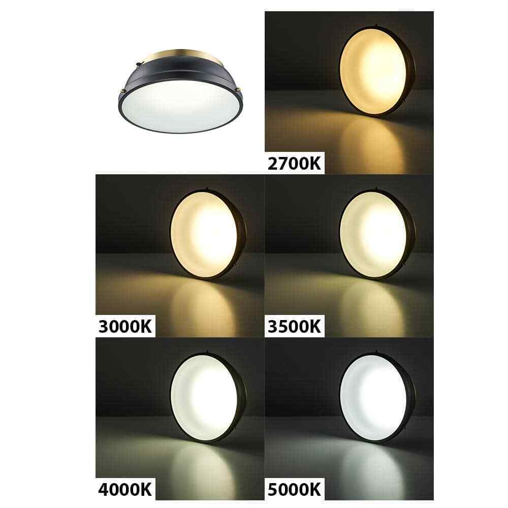 Hampton Bay Taspen 14 in. Black and Antique Brass LED Flush Mount Ceiling Light