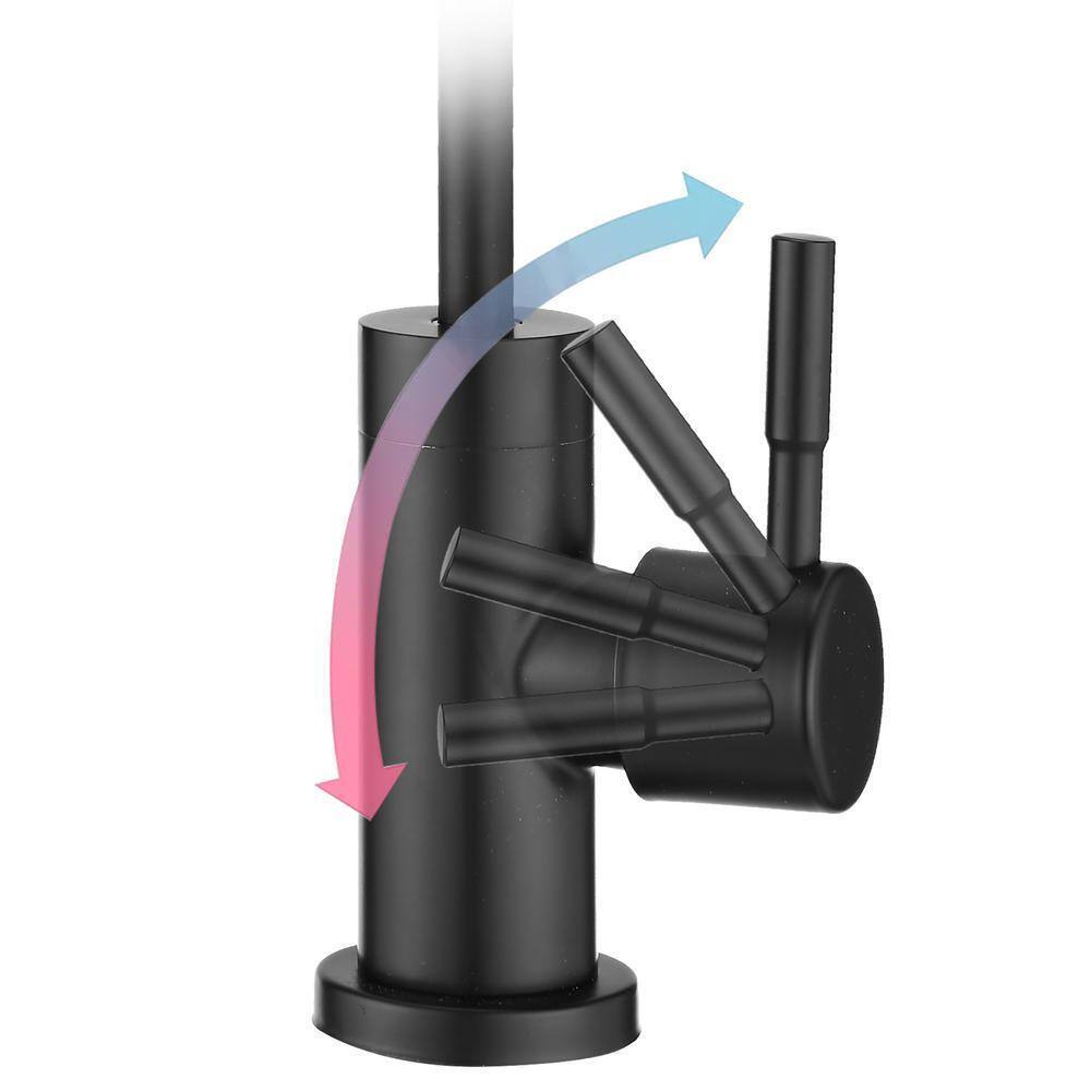 Single-Handle Stainless Steel Kitchen Water Filter Faucet in Matte Black