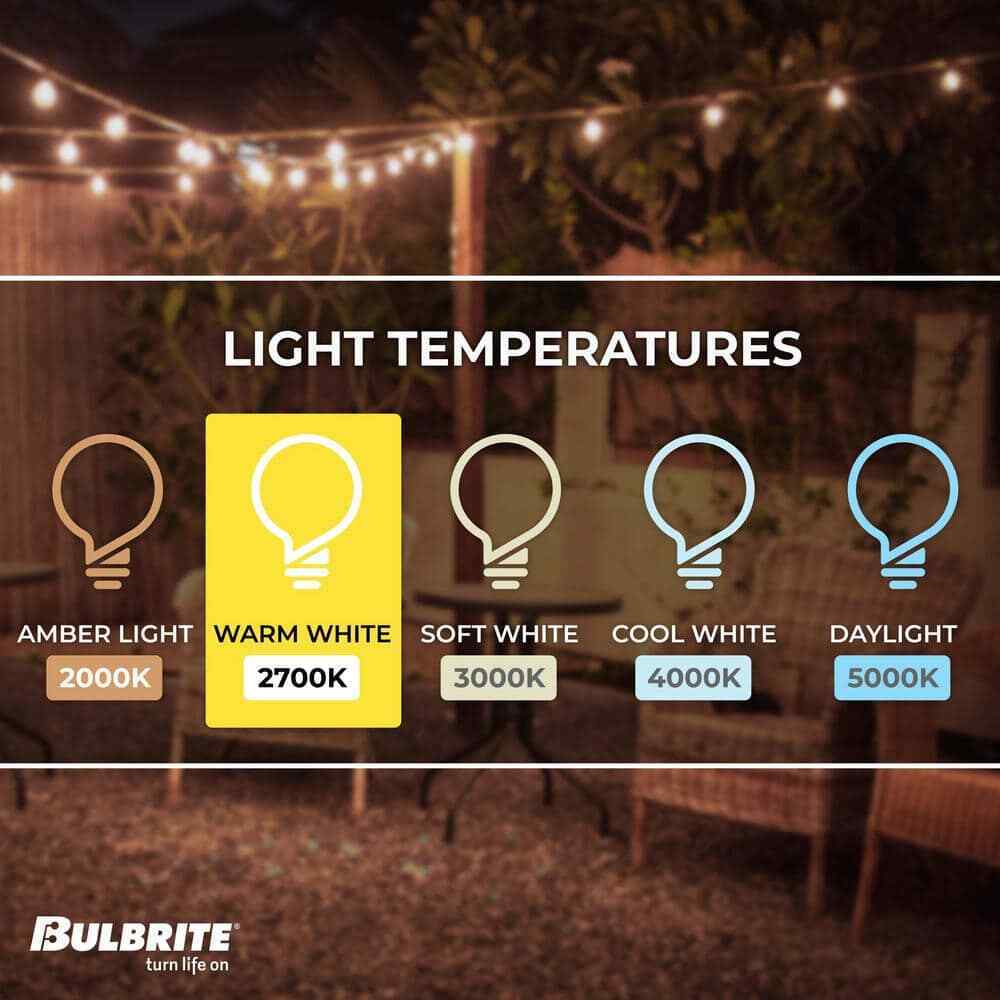 Bulbrite Outdoor 30 ft. Edison String Light Shatter Resistant Bulbs 12-Sockets