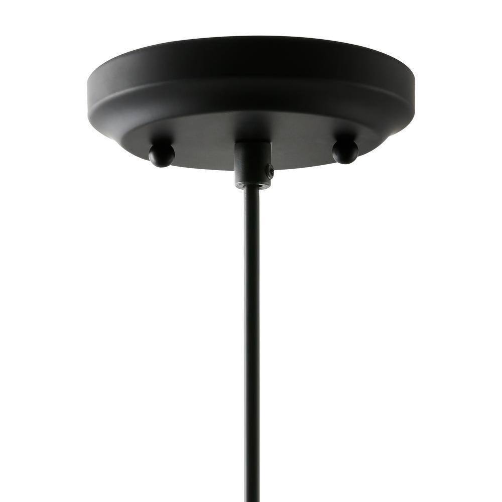 Light Society Faye 1-Light Black Wood/Clear Pendant with Glass Shade