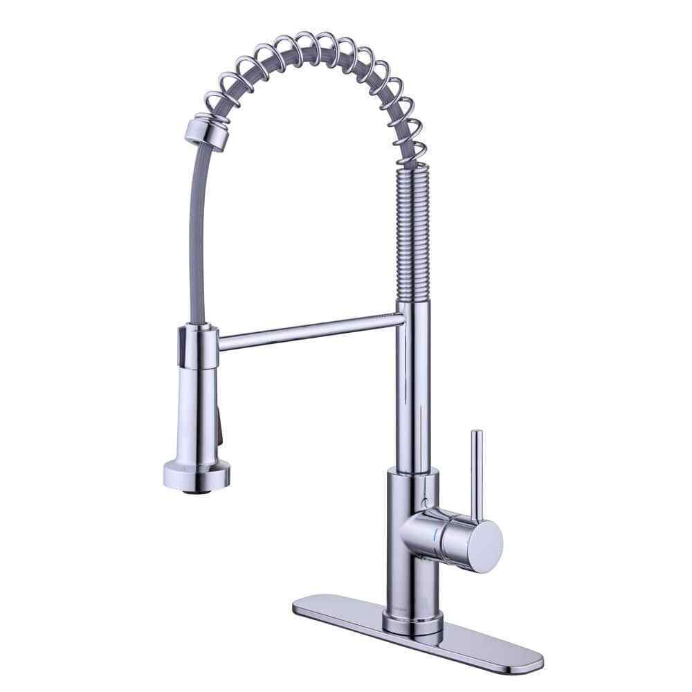 Glacier Bay Paulina Single-Handle Spring Neck Pull Down Sprayer Kitchen Faucet