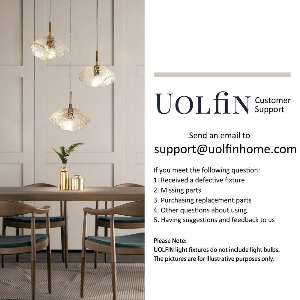 Uolfin Brushed Black 12 in. 2-Light Rustic Cage Semi-Flush Mount Ceiling Light