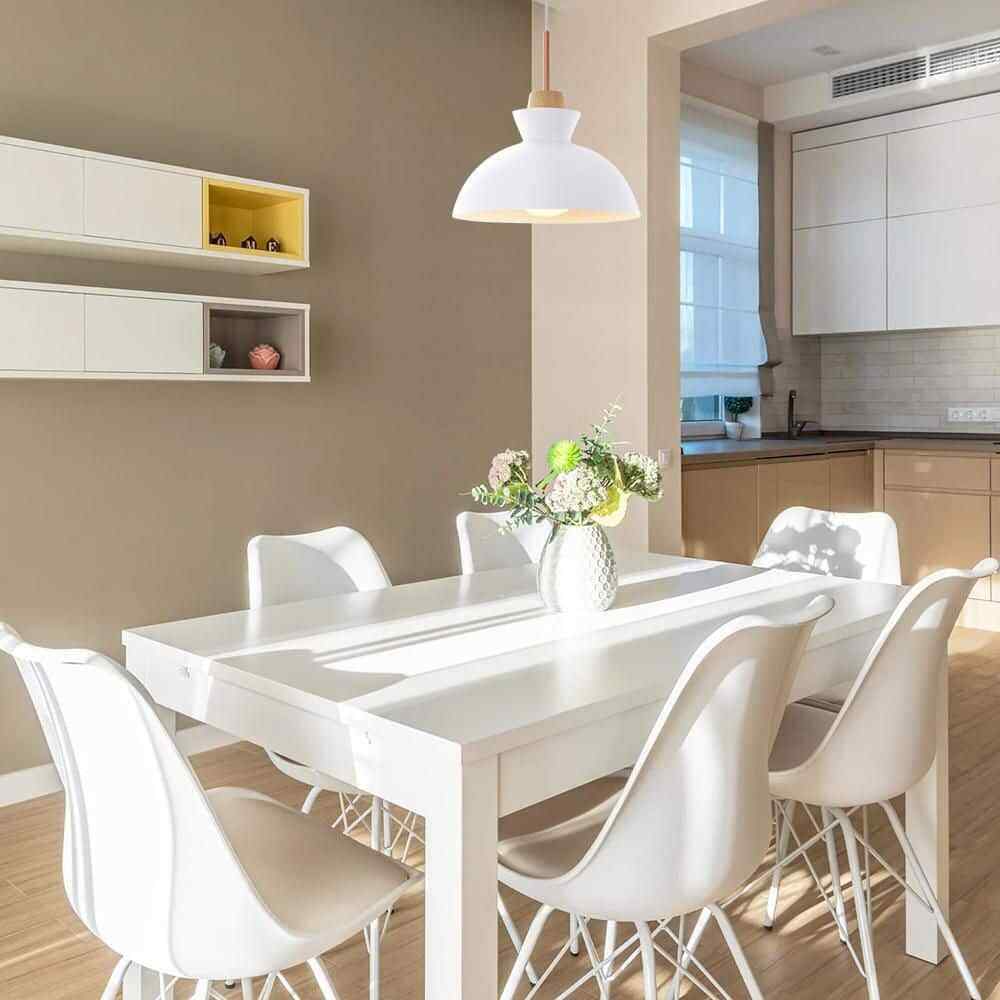 RRTYO Matisse 1 -Light White Single Dome Pendant with Metal Shade