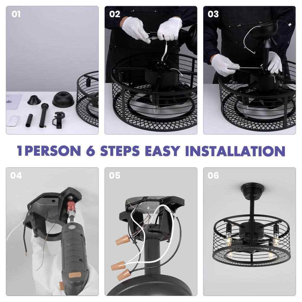 ANTOINE 17 in. Indoor Black Ceiling Fan Caged Ceiling Fan w/ Lights and Remote