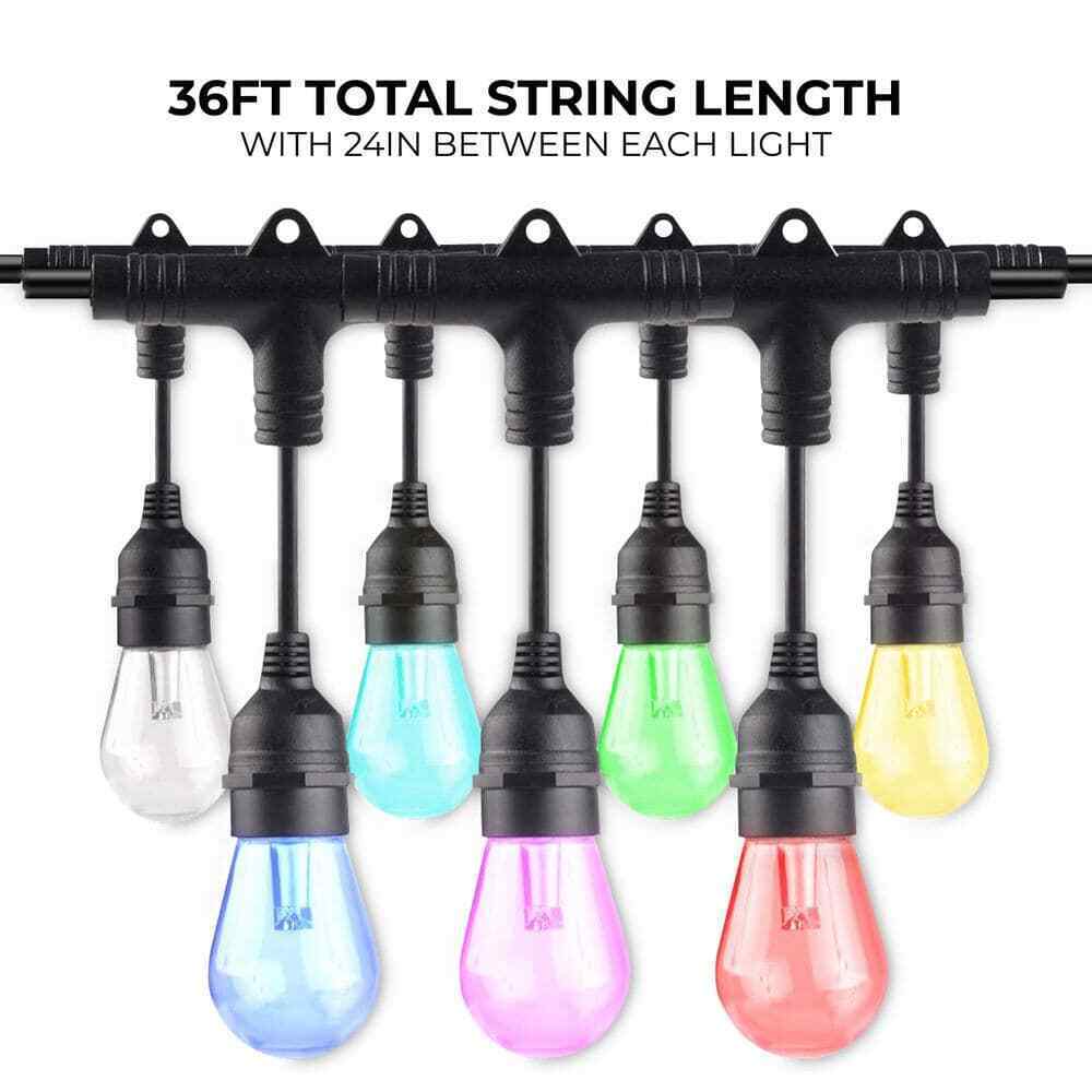 Bulbrite 36 ft. Plug-in S14 Shatter Resistant LED Smart Black String Light