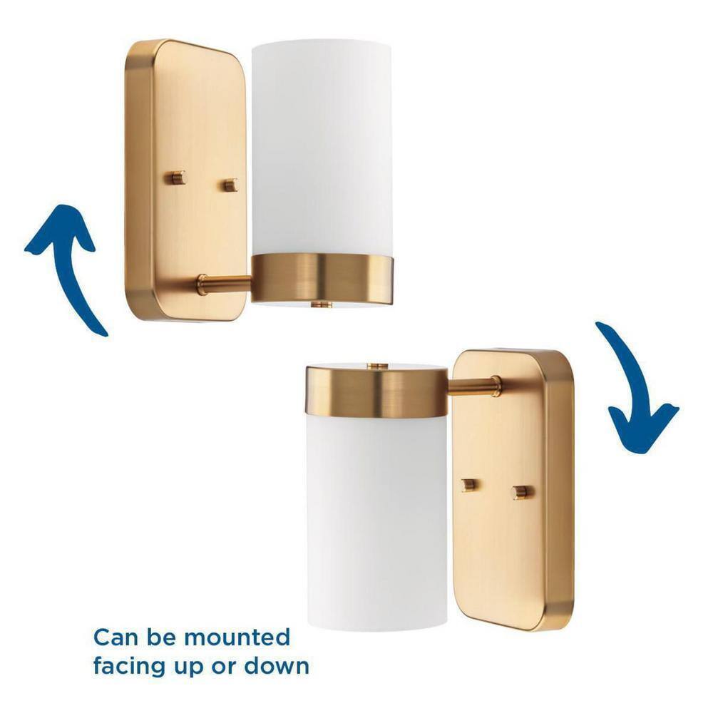 Progress Lighting Elevate 1-Light Brushed Bronze Etched White Glass Vanity Light