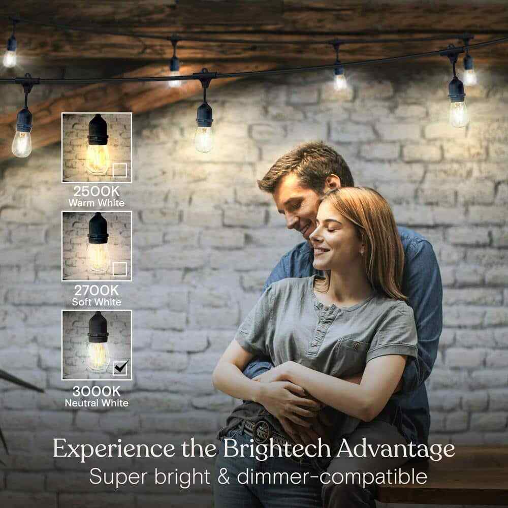 Brightech Ambience 24 ft. Outdoor Plug-in LED Hanging Edison Bulb String-Light