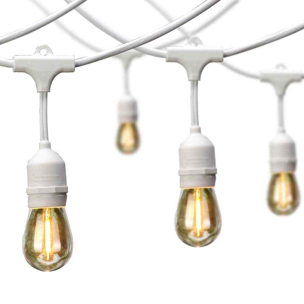 Hampton Bay 24 ft. 12-Light Plug-In Edison Bulb String Light