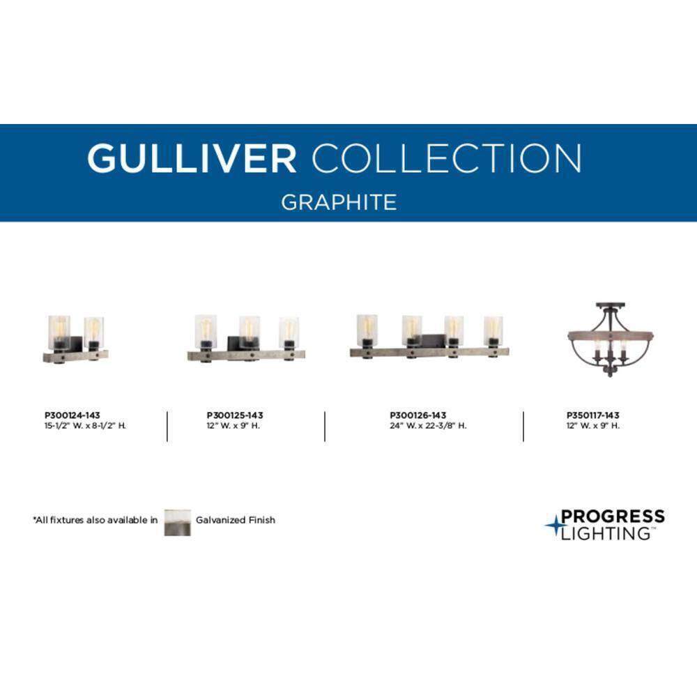 Progress Lighting Gulliver 24 in. 3-Light Graphite Coastal Bathroom Vanity