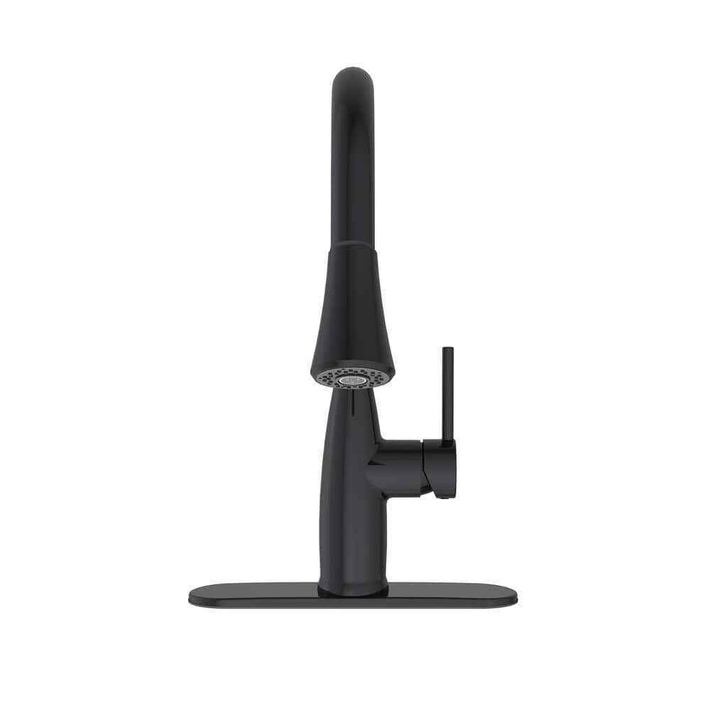 Cartway Single-Handle Pull-Down Sprayer Kitchen Faucet in Matte Black D001O