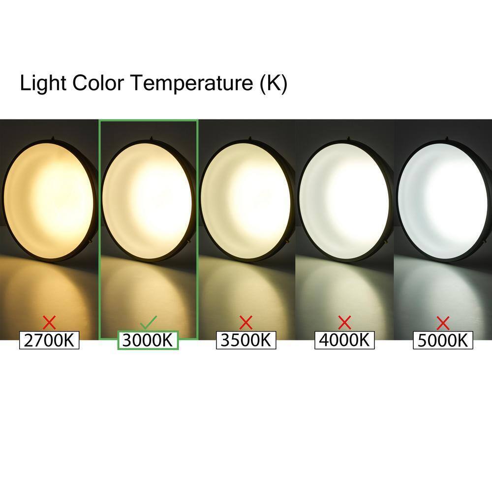 Bel Air Lighting Compact 12 in Black LED Cylinder Outdoor Wall Light Clear Glass