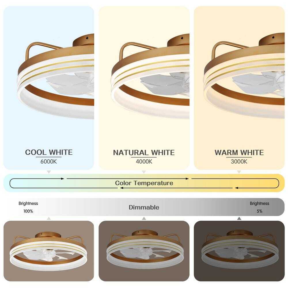 Bella Depot 20 in. LED Indoor Gold Dimmable Ceiling Fan w/ Light and Remote