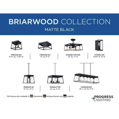 Progress Lighting Briarwood 1-Light Cerused Black Ceiling Light Flush Mount