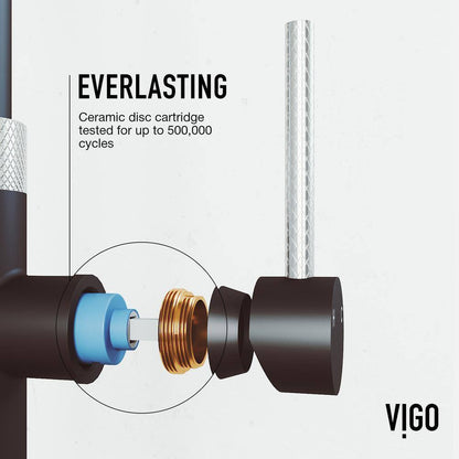 VIGO Bristol Pull-Down Sprayer Kitchen Faucet in Stainless and Black