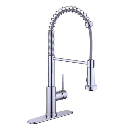 Glacier Bay Paulina Single-Handle Spring Neck Pull Down Sprayer Kitchen Faucet