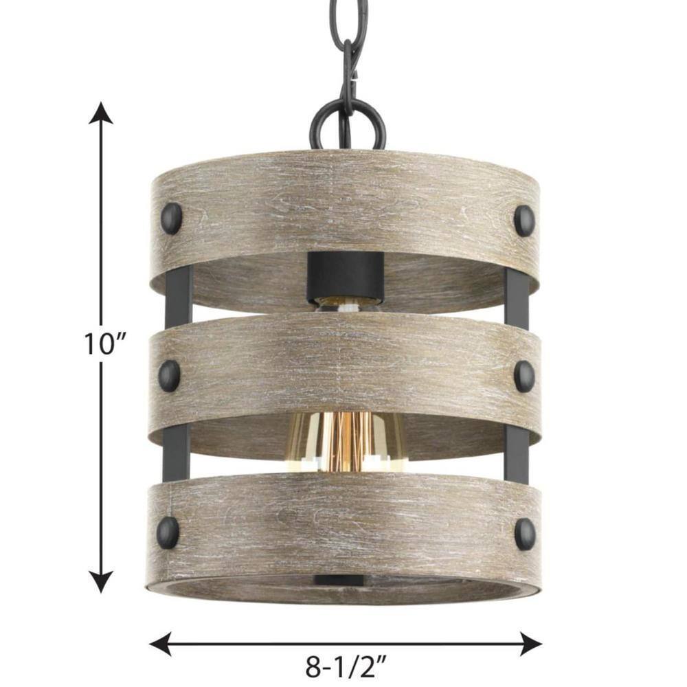 Progress Lighting Gulliver 8-1/2 in. 1-Light Graphite Coastal Drum Mini-Pendant