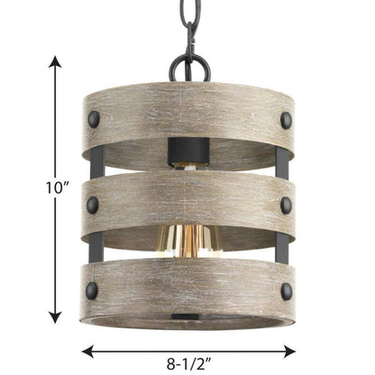 Progress Lighting Gulliver 8-1/2 in. 1-Light Graphite Coastal Drum Mini-Pendant