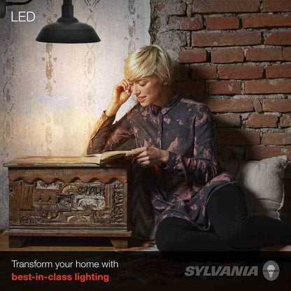 Sylvania Easton 11.5 in. Single Bulb Antique Black Outdoor Barn Light Sconce