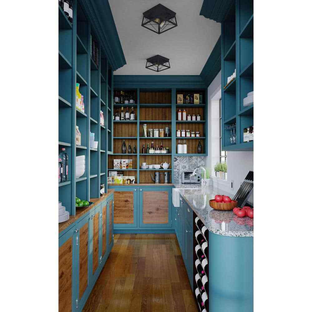 Progress Lighting Briarwood 2-Light Kitchen Farmhouse Ceiling Light Flush Mount