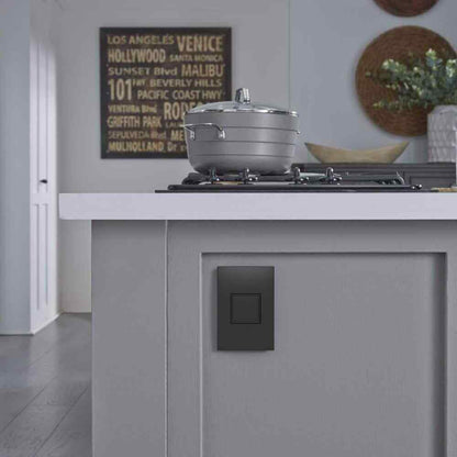 Legrand adorne 15 Amp 125-Volt Tamper Resistant 1-Gang Pop-Out Outlet Graphite