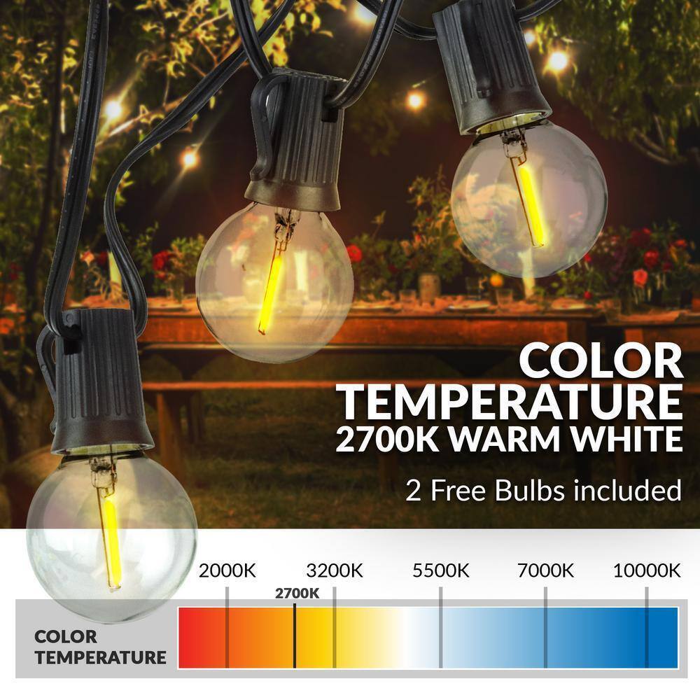 Newhouse Lighting Indoor/Outdoor 25 ft. Plug-In Globe Bulb LED String Lights