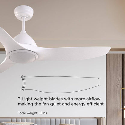 ProMounts Smart WiFi LED 52 in. Ceiling Fan with Light and Remote.  Alexa Google
