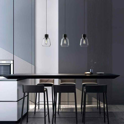 Light Society Faye 1-Light Black Wood/Clear Pendant with Glass Shade