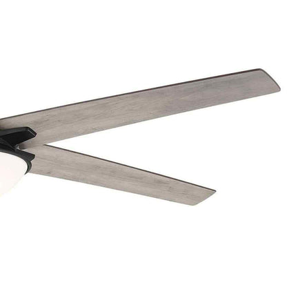 Hampton Bay Belvoy 70 in. Matte Black DC Motor Ceiling Fan with Light and Remote