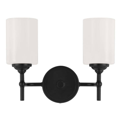 Home Decorators Collection Ayelen 13.5 in. 2-Light Matte Black Vanity Light