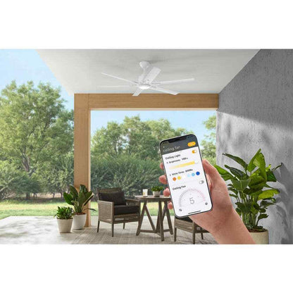 Home Decorators 60 in. Smart Hubspace Indoor/Outdoor Ceiling Fan with Remote