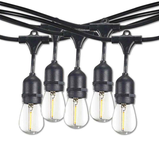 Bulbrite Outdoor 30 ft. Edison String Light Shatter Resistant Bulbs 12-Sockets
