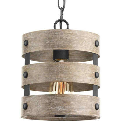 Progress Lighting Gulliver 8-1/2 in. 1-Light Graphite Coastal Drum Mini-Pendant