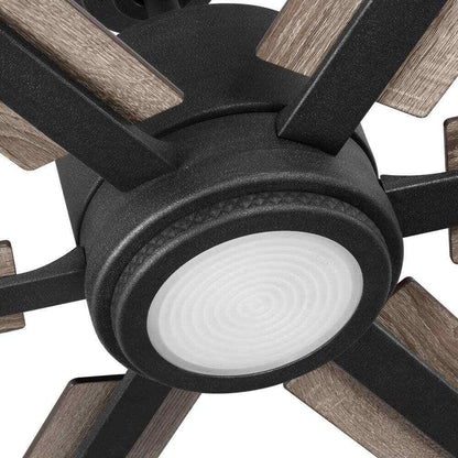Home Decorators Palermo Grove Black Ceiling Fan w/ LED Light and Remote Control
