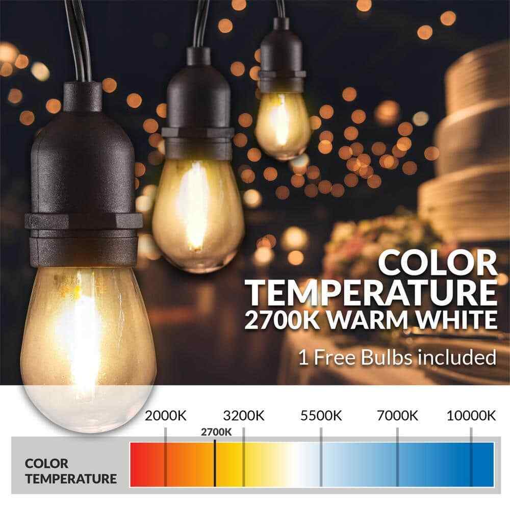 Newhouse Lighting Outdoor/Indoor 48 ft. Plug-In S14 Bulb LED String Light