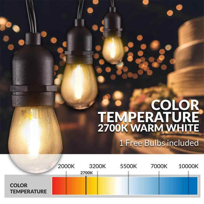 Newhouse Lighting Outdoor/Indoor 48 ft. Plug-In S14 Bulb LED String Light
