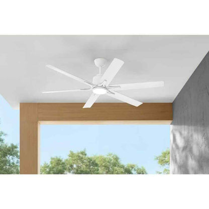 Home Decorators 60 in. Smart Hubspace Indoor/Outdoor Ceiling Fan with Remote