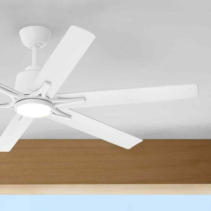 Home Decorators 60 in. Smart Hubspace Indoor/Outdoor Ceiling Fan with Remote