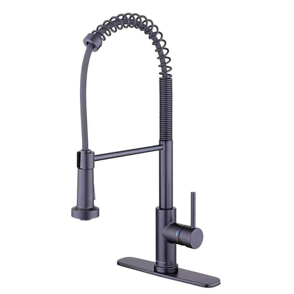 Glacier Bay Paulina One-Handle  Pull Down Sprayer Kitchen Faucet in Matte Black